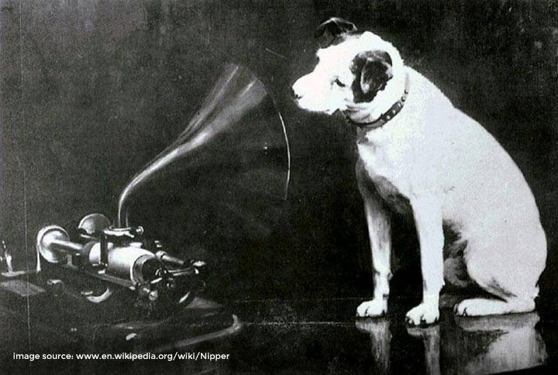 nipper looking into an edison bell cylinder phonograph