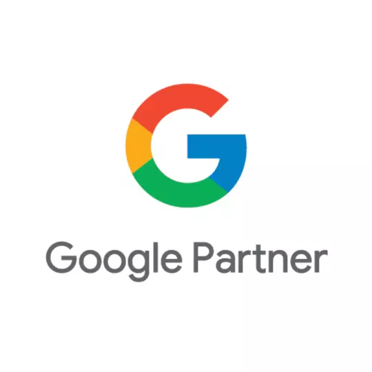 Shopify Cro 10 google partner badge